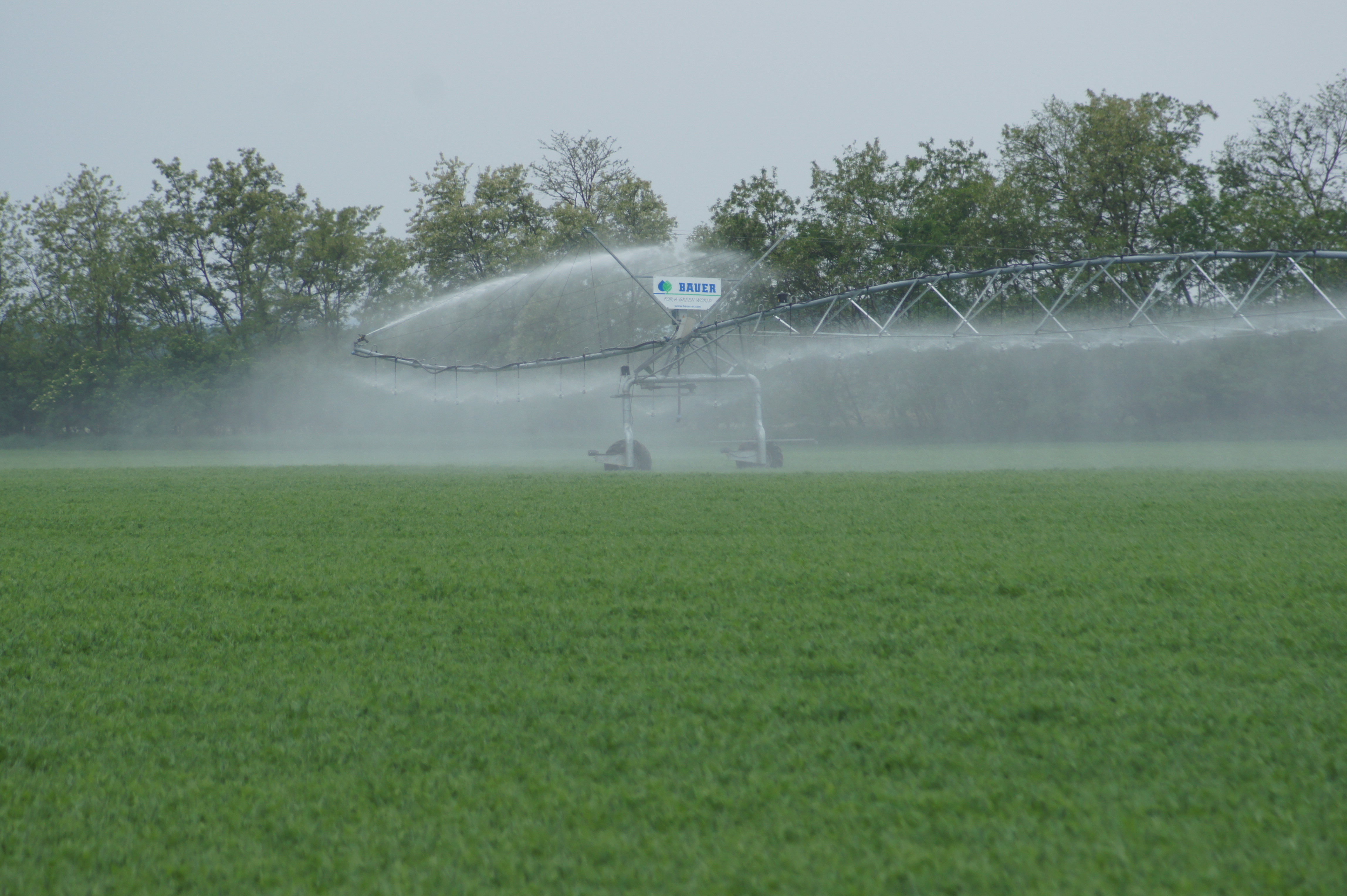 Pivote central en movimiento