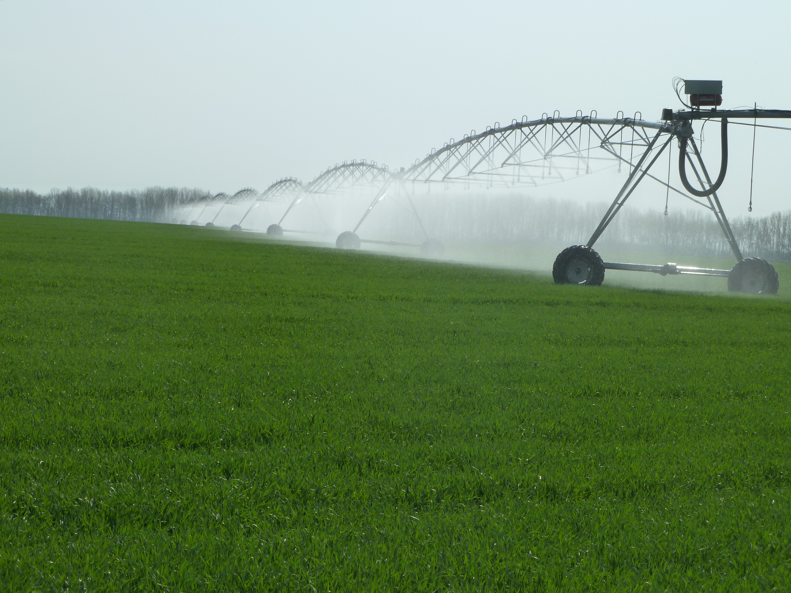 Estructura de pivote en operacion